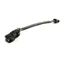 Ascot Rolled Leather Lip Strap - Black